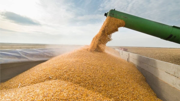 Урожай зерна в России в этом году может превысить 140 млн тонн