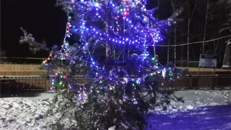 В деревне Большое Буяново администрация сельского поселения установила новогоднюю елку