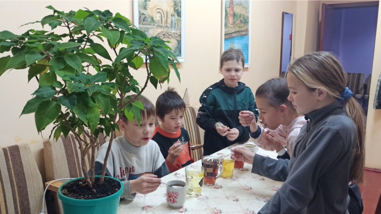 "Угадай, из чего чай" - познавательная программа с детьми в Кшаушском ЦСДК