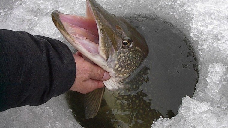 Предупреждение для всех любителей зимней рыбалки