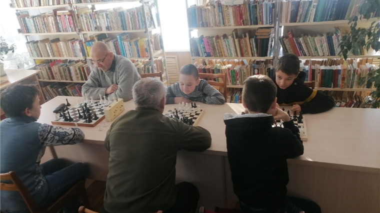 В Ефремкасинской сельской библиотеке прошло занятие в клубе "Шах и мат"