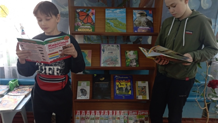 Ойкас-Кибекской сельской библиотеке проведена экологическая игра «Хочу всё знать»