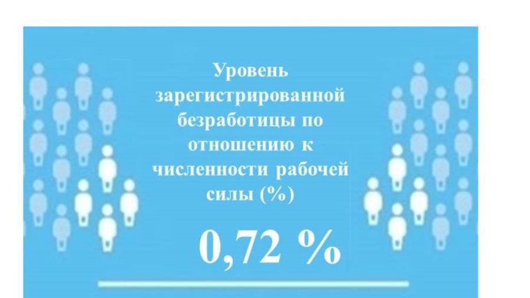 Уровень регистрируемой безработицы в Чувашской Республике составил 0,72%