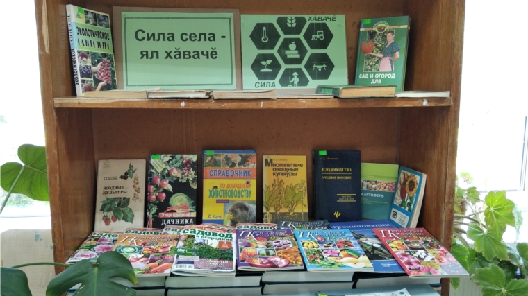 В Ишпарайкинской сельской библиотеке оформлена книжная выставка «Сила села. Ял хăвачĕ»