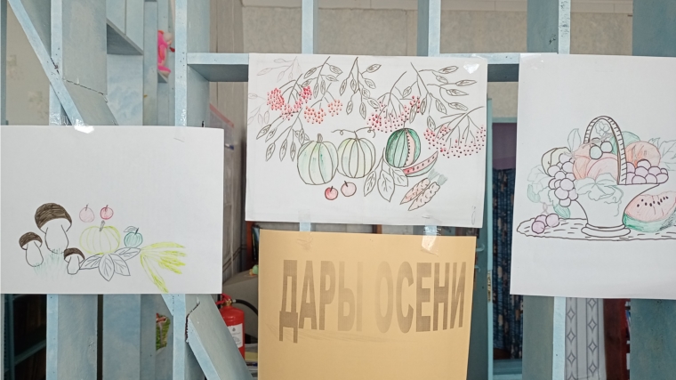 В Кивойской сельской библиотеке состоялся конкурс рисунков "Дары осени"