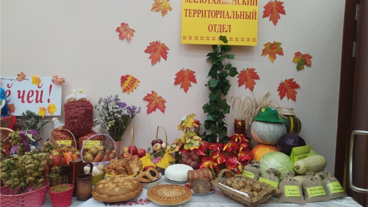 Малотаябинский ТО на празднике «День работников сельского хозяйства и перерабатывающей промышленности»