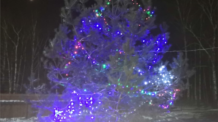 В деревне Большое Буяново установили новогоднюю елку