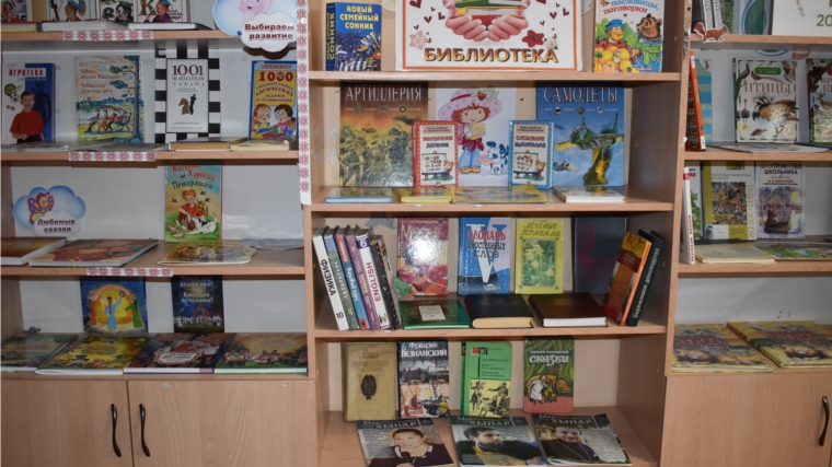 В Кашмашской сельской библиотеке проходит общероссийская акция «Дарите книги с любовью!»