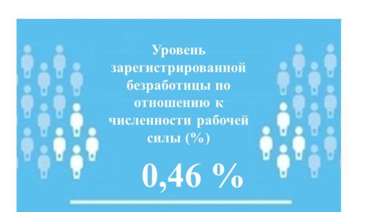 Уровень регистрируемой безработицы в Чувашской Республике составил 0,46%