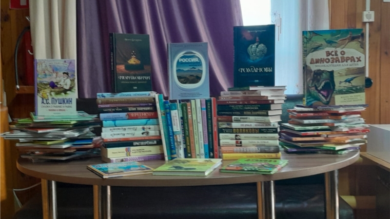 Библиофреш «Дегустация книжных новинок» в Карабай-Шемуршинской сельской библиотеке