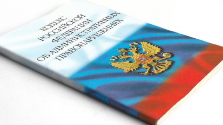 Позитивное участие института омбудсмена в рассмотрении административного дела