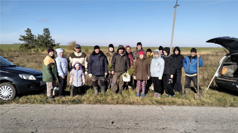 Всероссийская акция «Сохраним лес».