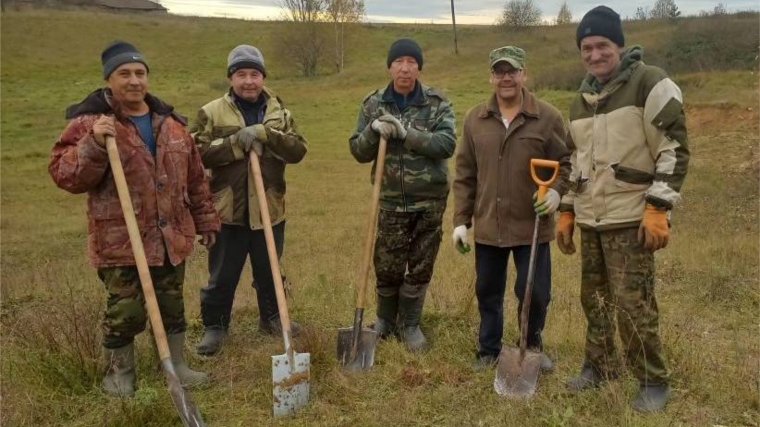 Посадка деревьев - дело общее.