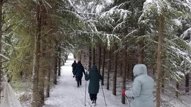 Чем полезны зимние прогулки по лесу