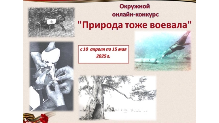Определены победители окружного онлайн-конкурса «Природа тоже воевала»
