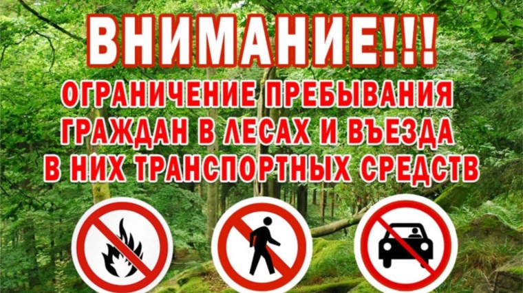 В связи с высокой пожарной опасностью в лесах Чувашской Республики посещение гражданами лесных массивов и въезд автотранспорта на их территорию временно запрещены