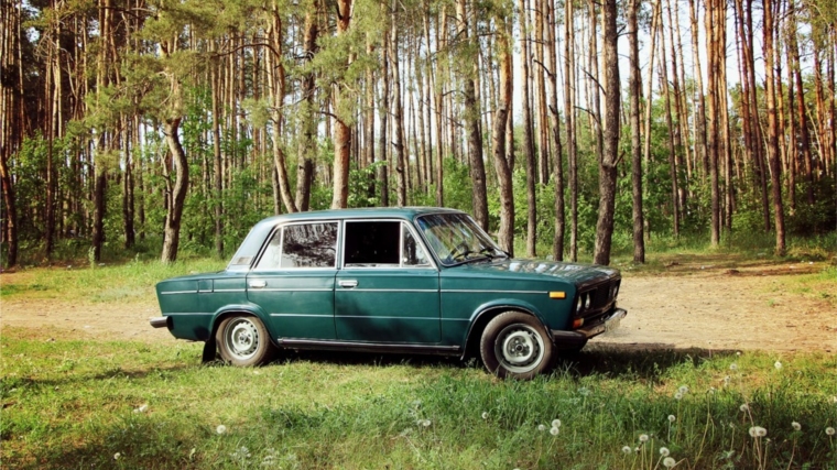 Пропавший грибник
