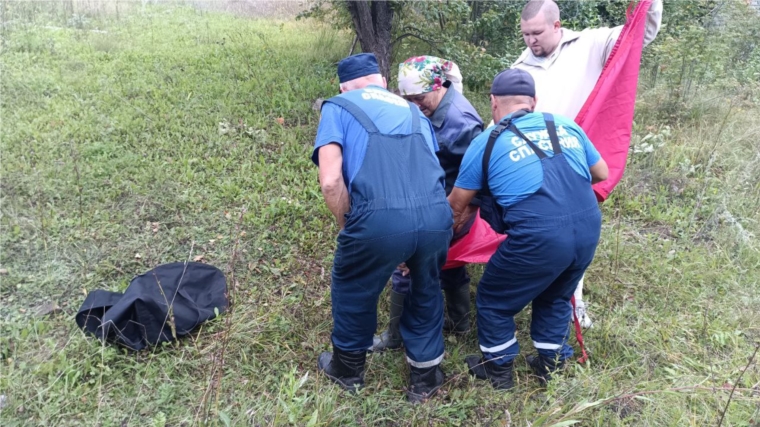 Спасатели провели операцию по спасению женщины, получившей травму в лесу