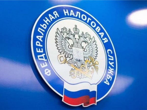Налоговики расскажут о преимуществах получения ИНН в электронном виде