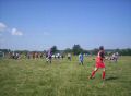 y37104.JPG