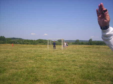 y37115.JPG