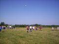 y37118.JPG