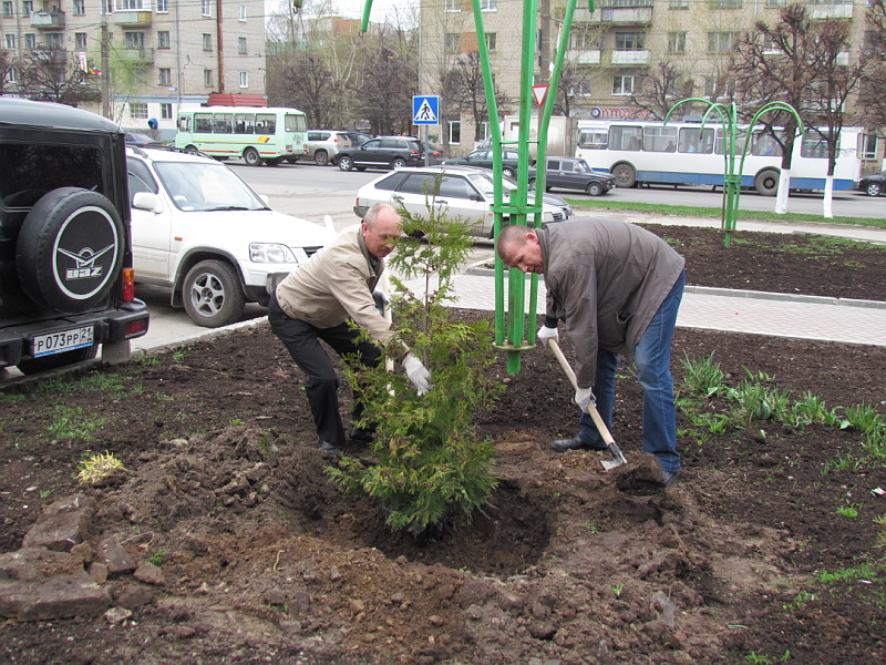 11:00 День дерева в Ленинском районе г.Чебоксары: 