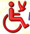 <body><STRONG><FONT color=#0000ff>3 декабря - Международный день инвалидов