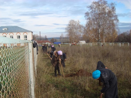 Посадка деревьев