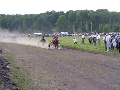 Праздник песни, труда и спорта