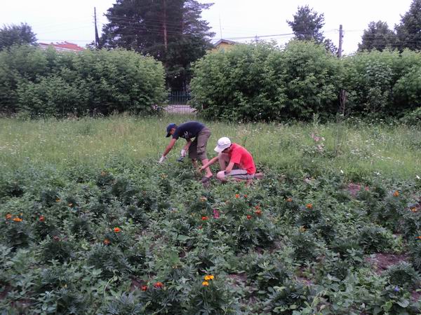 При администрации Новочурашевского сельского поселения плодотворно работает подростковая трудовая бригада 
