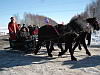 Цветной телевизор за лучшую конную тройку