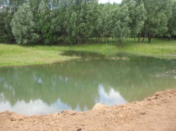 Восстановили пруд в д.Липовка