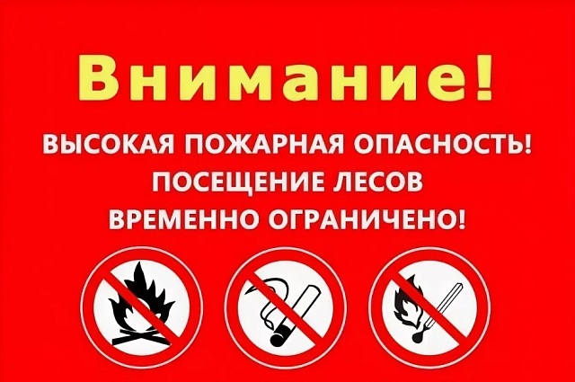 Управление ГОЧС г. Чебоксары предупреждает об опасности использования открытого огня.