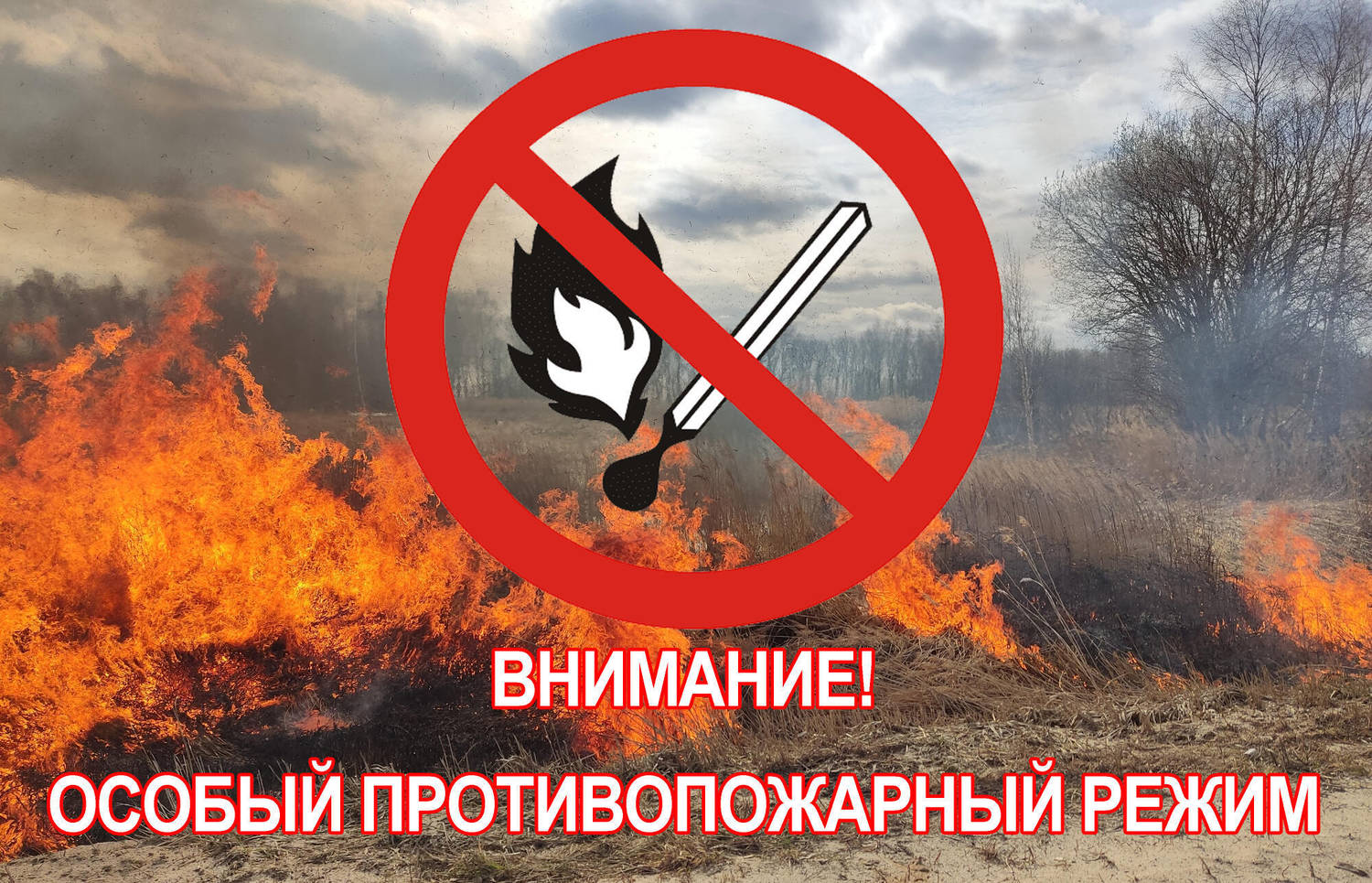 Особый противопожарный режим. Что нельзя делать