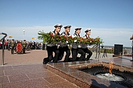 IMG_2916.jpg