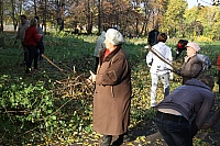 IMG_0517.jpg