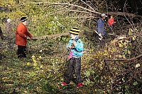 IMG_0564.jpg