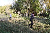 IMG_0567.jpg