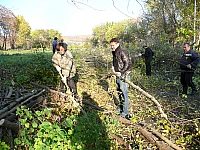P1020988.JPG