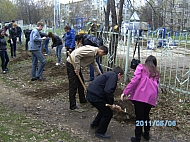 PICT2260.jpg