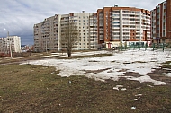 IMG_9519.jpg