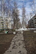 IMG_9535.jpg