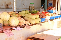 IMG_0181.jpg