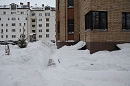 IMG_2386.jpg