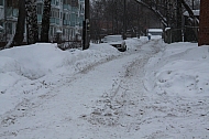IMG_2423.jpg