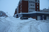 IMG_2550.jpg
