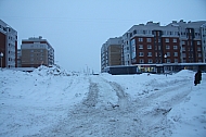 IMG_2559.jpg