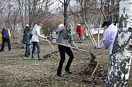 IMG_0061.jpg