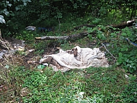 IMG_0115.jpg